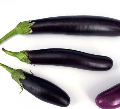 Eggplant Aubergine Long-Pop 